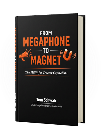 Megaphone to Magnet 3d book graphic LP (1)